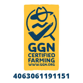GGN_Logo_Website_Sustainability
