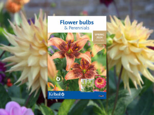 Discover our Flower bulbs & Perennials Spring 2024 collection