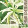 Lilium Must See