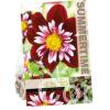 Dahlia Night Butterfly