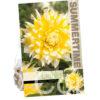 Dahlia Grand Prix