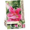 Lilium Lulu (Or)