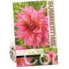Dahlia Penhill Watermelon