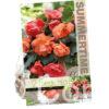 Begonia Cascade Odorosa Sweet Pink