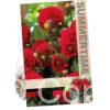 Dahlia Gallery Singer