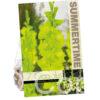 Gladiolus Green Star