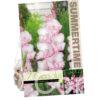 Gladiolus My Love