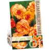 Begonia Picotee Yellow-Red