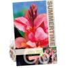Canna Champion