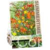 Crocosmia Bigflowering