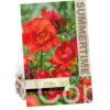 Freesia Double Red