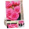 Begonia Double Pink
