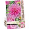Dahlia Park Princess
