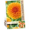 Dahlia Sylvia