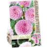 Dahlia Wizard of Oz
