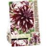 Dahlia Tartan
