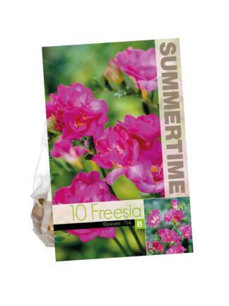 Freesia Double Pink