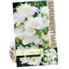 Freesia Double White