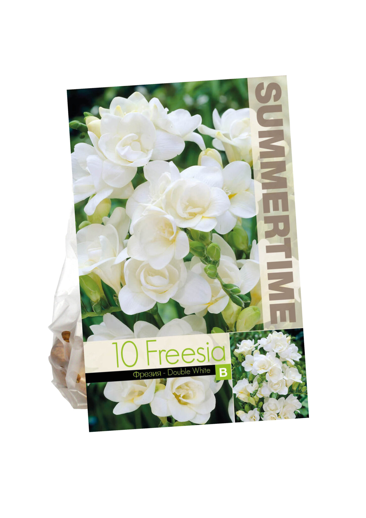 Freesia Double White