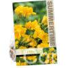 Freesia Double Yellow