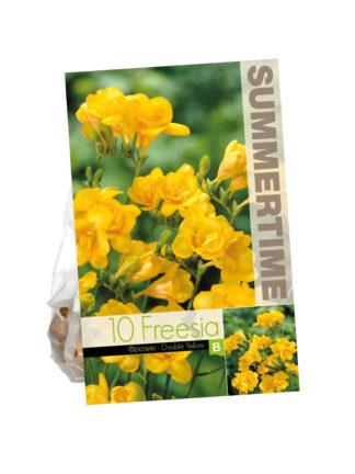 Freesia Double Yellow