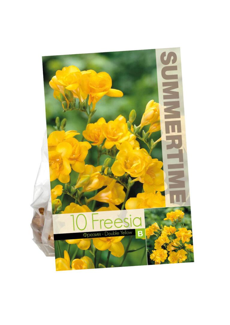 Freesia Double Yellow