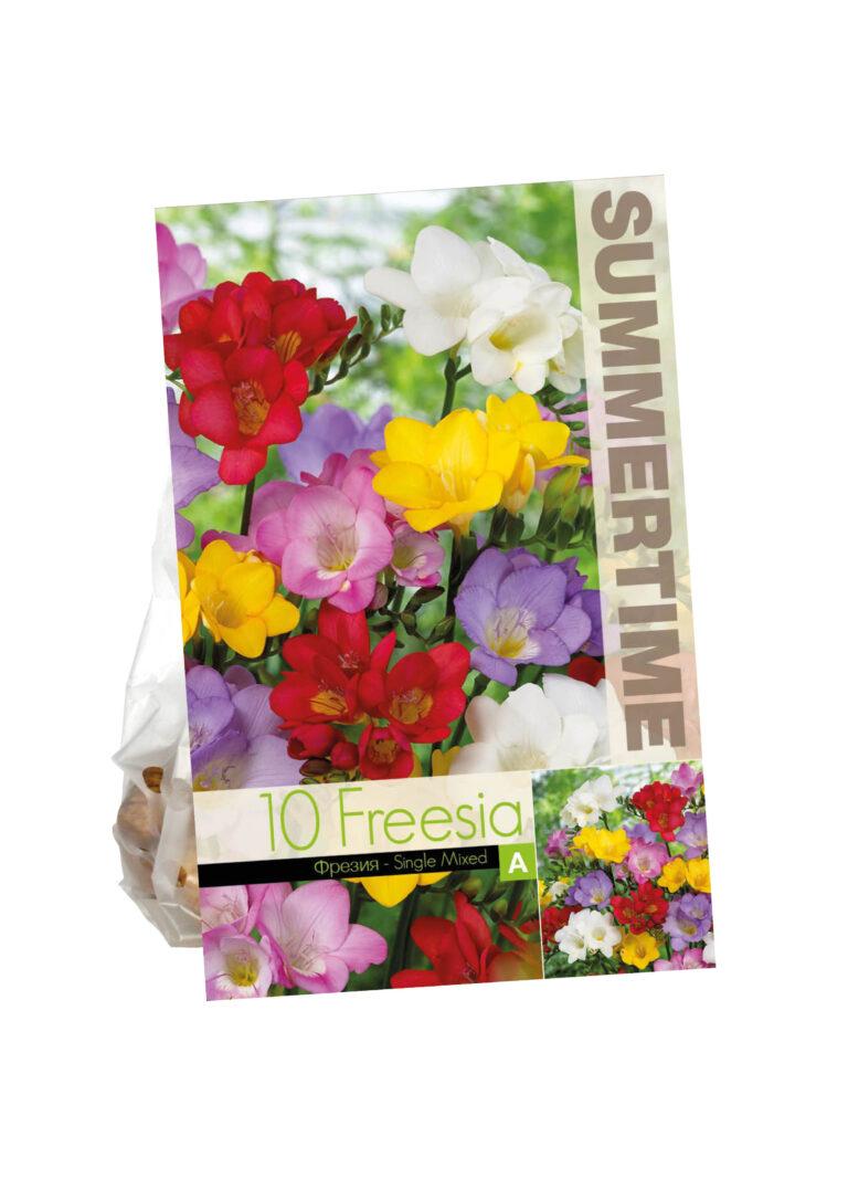 Freesia Single Mixed