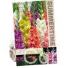 Gladiolus Ruffled Mixed