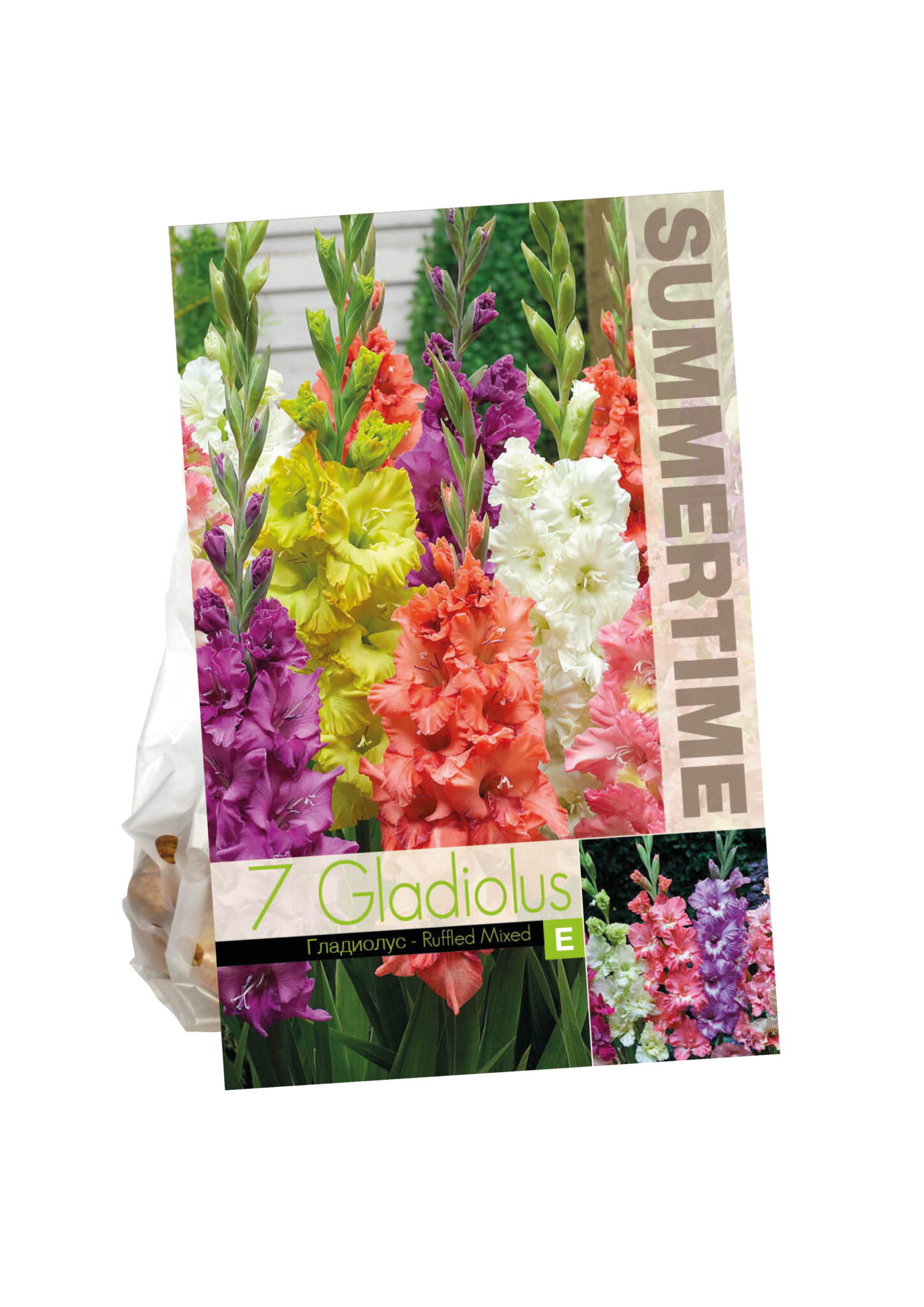 Gladiolus Ruffled Mixed