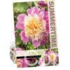 Dahlia Take Off