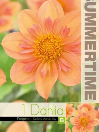 Dahlia Kelsey Annie Joy