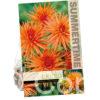 Dahlia Park Record