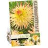 Dahlia Spassmacher