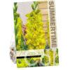 Gladiolus Blitz
