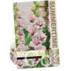Gladiolus Dreamy Creamy