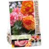 Begonia Picotee Mixed5