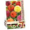 Dahlia Pompon Mixed