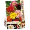 Dahlia Unwin Mixed