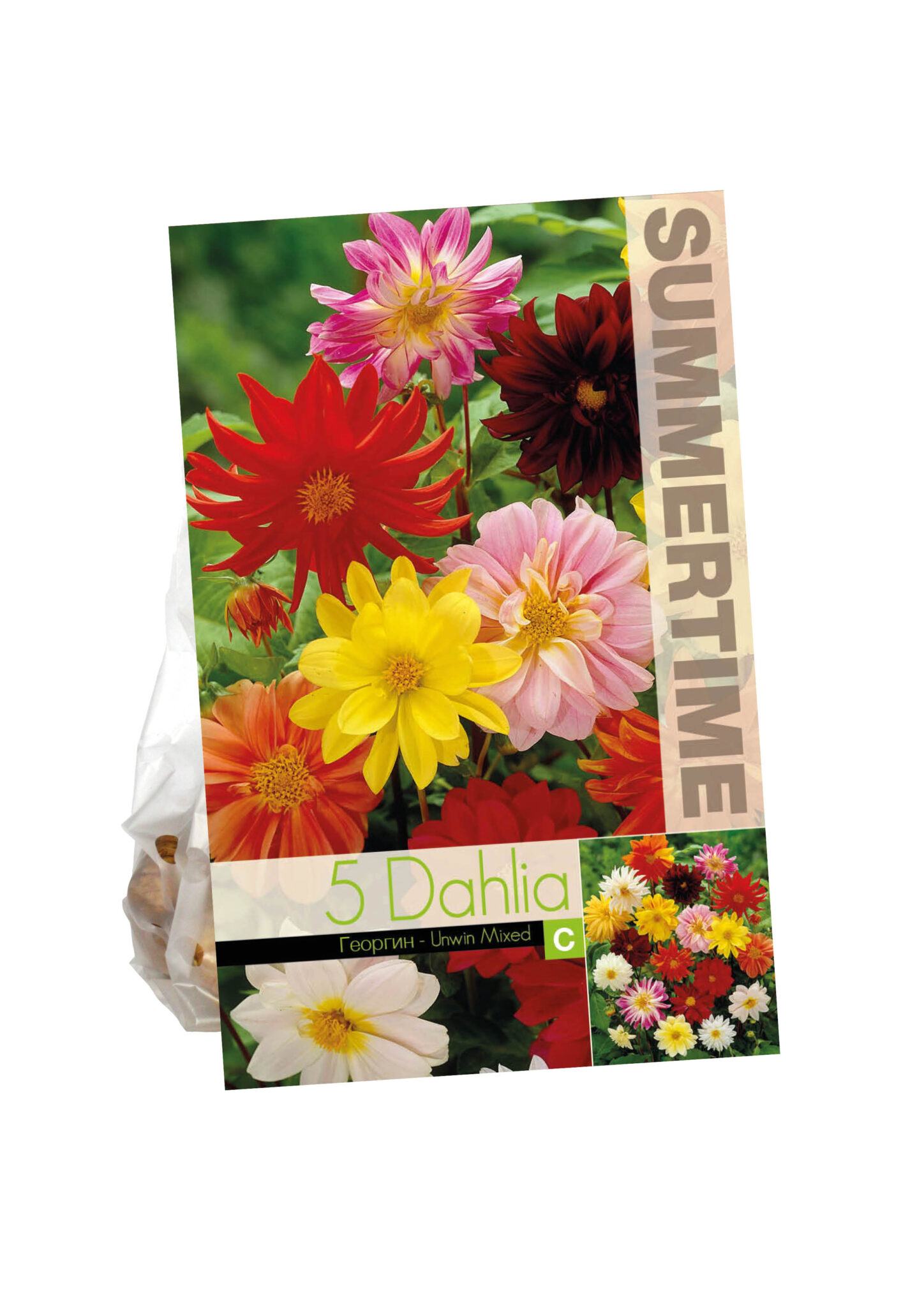 Dahlia Unwin Mixed