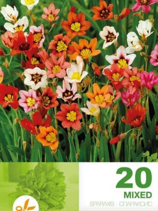 Sparaxis Mixed
