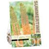 Eremurus Cleopatra