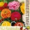 Ranunculus Mixed - RB