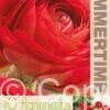 Ranunculus Red - RB