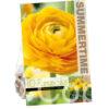 Ranunculus Yellow