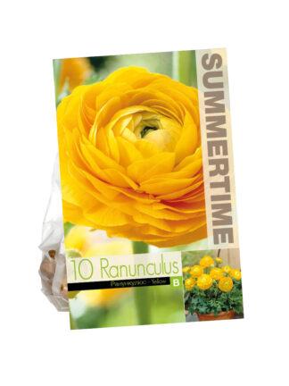 Ranunculus Yellow