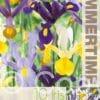 Iris Hollandica Mixed - RB