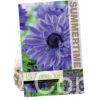 Anemone Lord Lieutenant