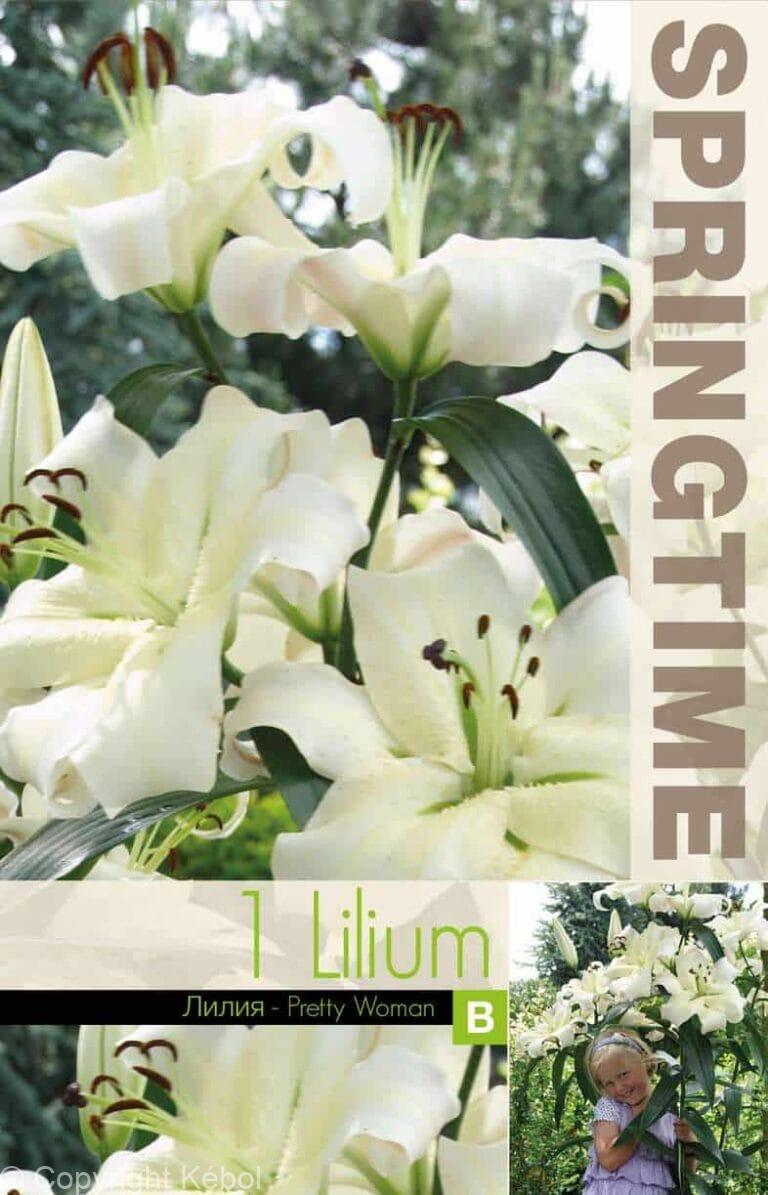 Lilium Pretty Woman - RB