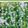 Convallaria majalis