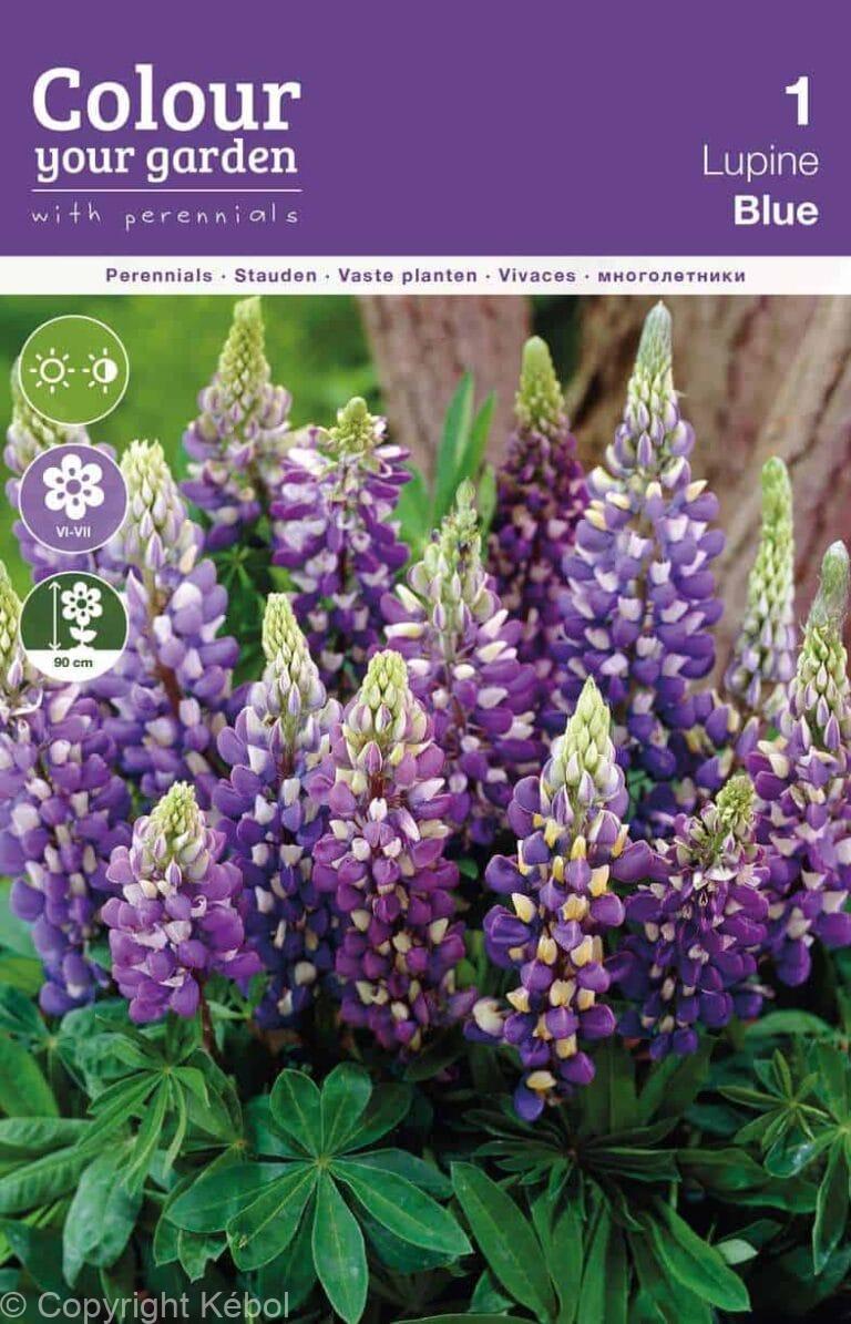 Lupine Blue